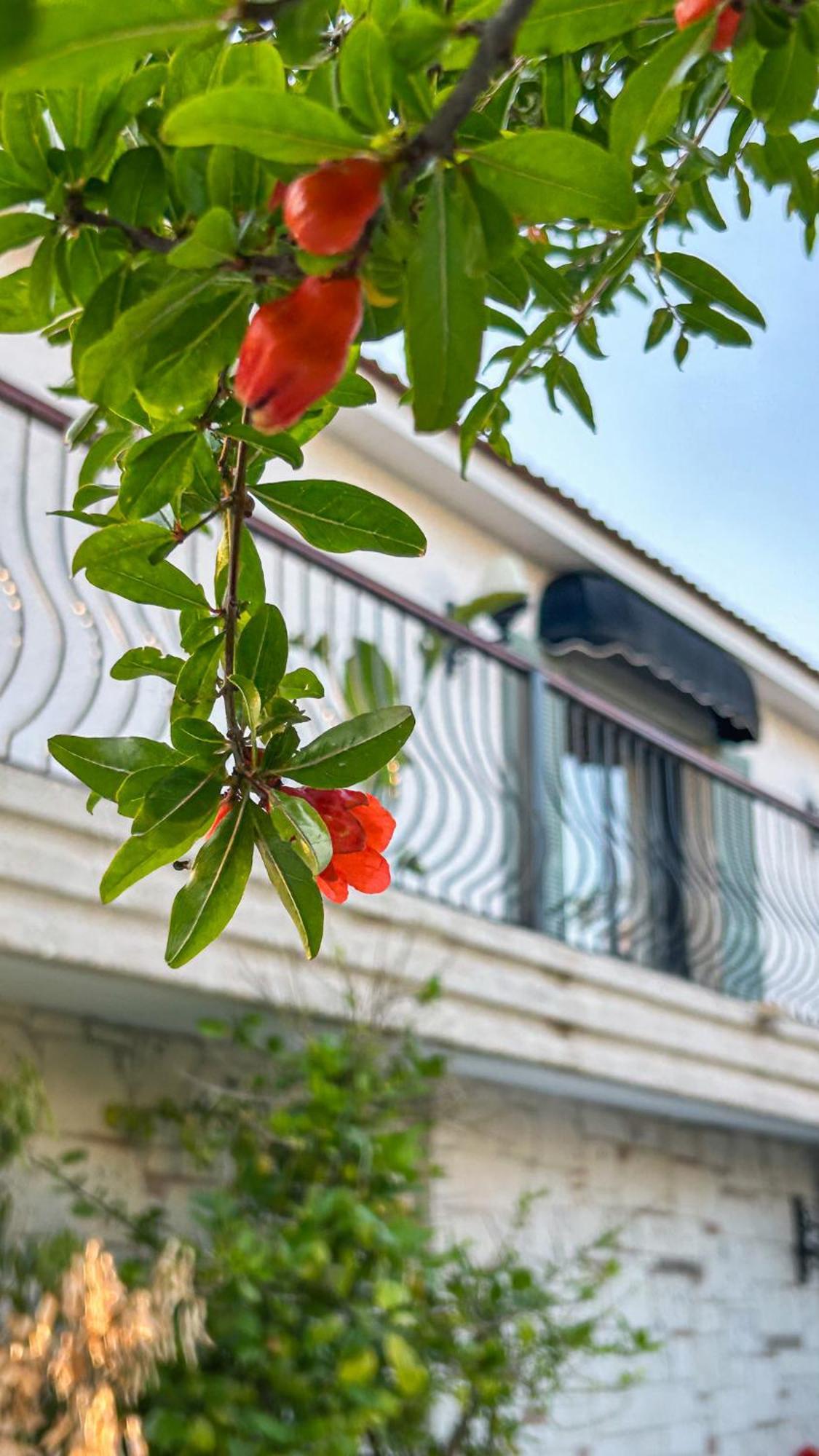 N Hotels Cesme Dalyankoy  エクステリア 写真